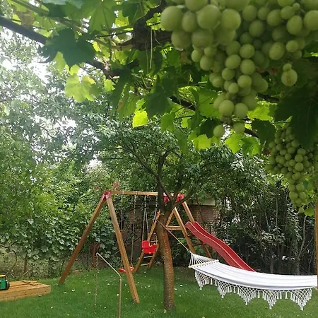 Apartamento Murányi Mórahalom
